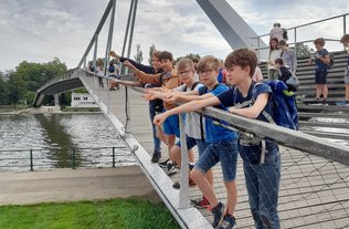 2021fr_zomerfr_12-14_flone_3b20210812_101421